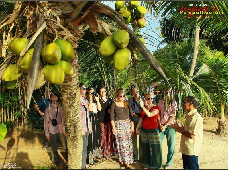 Ayana'S Homestay Alappuzha Esterno foto